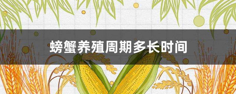 螃蟹养殖周期多长时间 螃蟹养殖周期多长时间