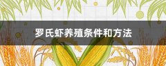 罗氏虾养殖条件和方法