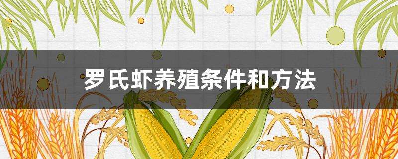 罗氏虾养殖条件和方法 罗氏虾养殖条件和方法
