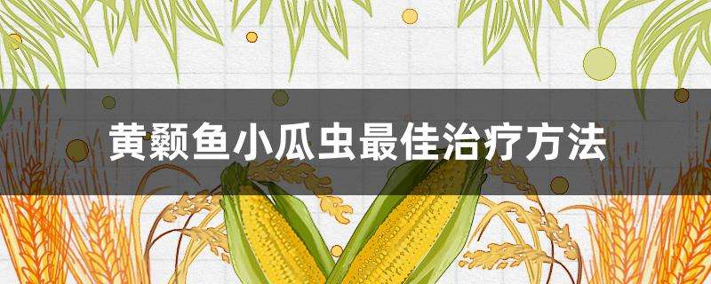 黄颡鱼小瓜虫最佳治疗方法 黄颡鱼小瓜虫最佳治疗方法