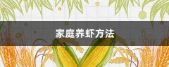 家庭养虾方法