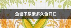 鱼塘下尿素多久鱼开口