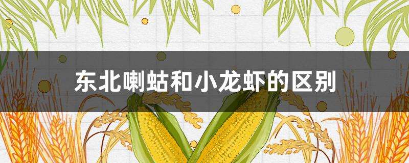 东北喇蛄和小龙虾的区别 东北喇蛄和小龙虾的区别