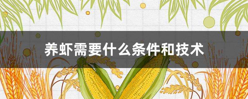 养虾需要什么条件和技术 养虾需要什么条件和技术