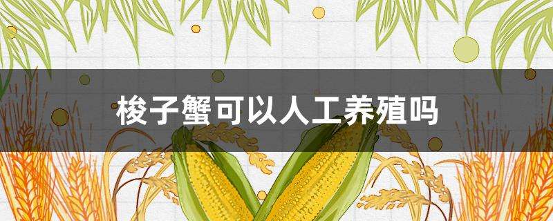 梭子蟹可以人工养殖吗 梭子蟹可以人工养殖吗