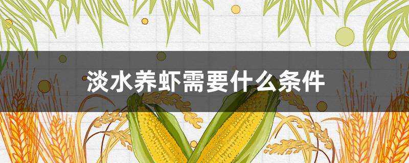 淡水养虾需要什么条件 淡水养虾需要什么条件