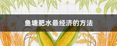 鱼塘肥水最经济的方法