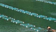 围网怎样养殖河蟹 如何进行围栏设施建设