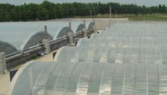工厂化甲鱼养殖技术之甲鱼池的建造方法