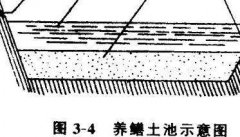 黄鳝养殖池怎样建造？黄鳝养殖池建好后的处理