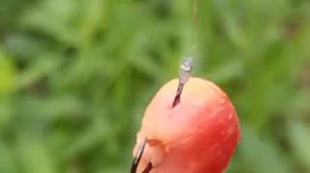 玉米挂钩