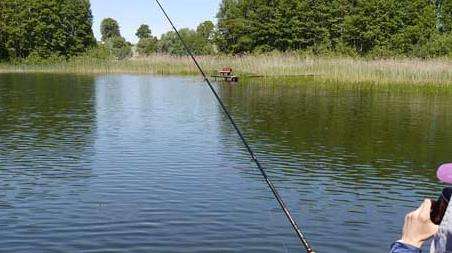 夏天钓鱼