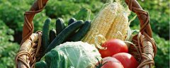 哪些粮食、水果、蔬菜适合在天津的气温条件下种植，这些作物有什么特点