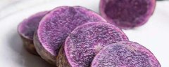 紫色马铃薯（紫土豆）几月能种？哪些地方适合种植紫土豆？怎么种才产量高