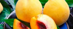种植黄桃有利润吗