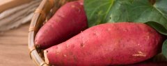 红薯用什么肥料高产