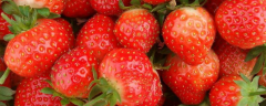 草莓一般何时种植，草莓有哪些施肥须知