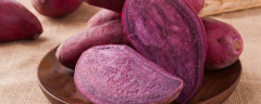 怎样种植紫薯盆栽，附紫薯的营养价值