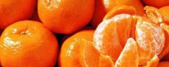 怎么种小橘子的籽，附挑选小橘子的方法