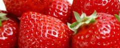 怎么种盆栽草莓籽，草莓的营养价值