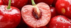 大棚樱桃种植技术，生长习性是什么