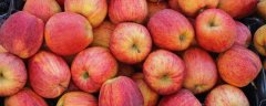 苹果园土壤管理技术及要点，土壤是确保苹果营养物质消化吸收的必备条件