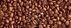 咖啡豆种植技术，适时播种，定期喷洒药物