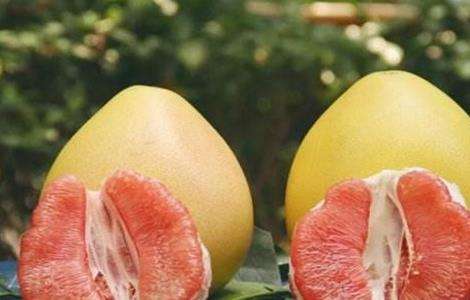红肉蜜柚 种植 管理要点