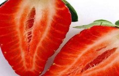 草莓空心是什么原因