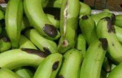 香蕉水烂原因及预防方法