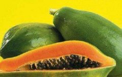 木瓜怎么种植才能高产