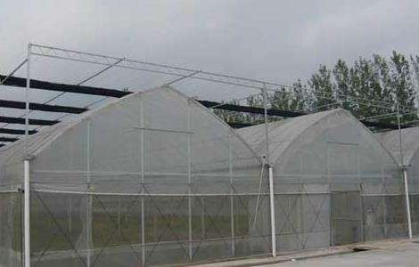 建一个大棚需要多少钱