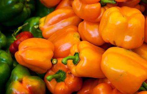 彩椒是转基因食品吗