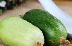 水果黄瓜是转基因吗？