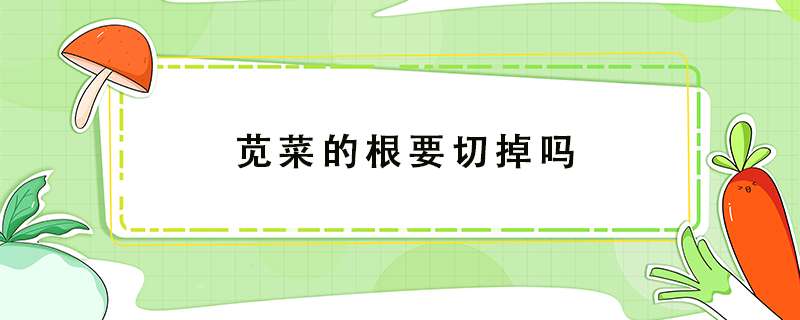 苋菜的根要切掉吗