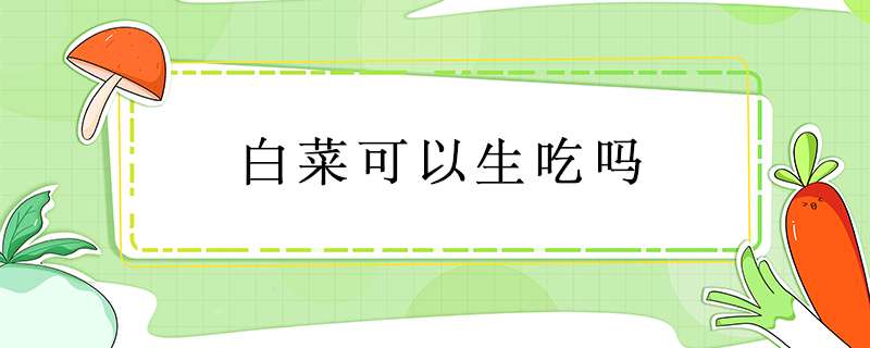 白菜可以生吃吗