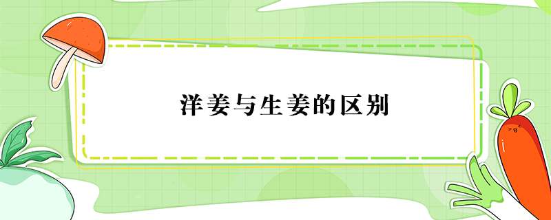 洋姜与生姜的区别