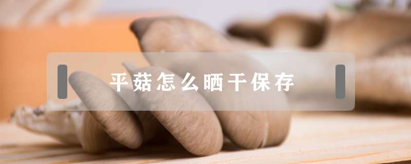 平菇怎么晒干保存