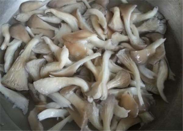 家常炒蘑菇的方法