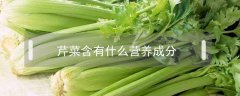 芹菜含有什么营养成分