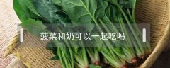 菠菜和奶可以一起吃吗