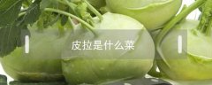 皮拉是什么菜