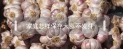 家庭怎样保存大蒜不发芽