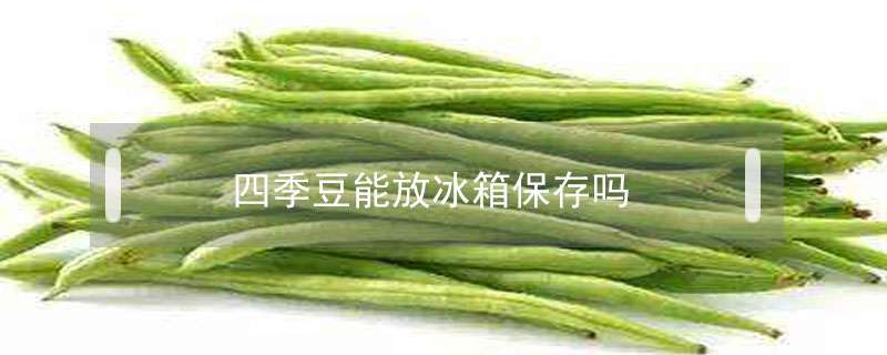 四季豆能放冰箱保存吗