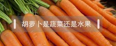 胡萝卜是蔬菜还是水果