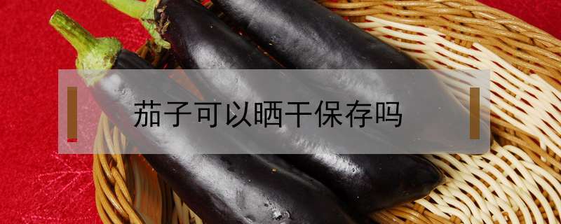 茄子可以晒干保存吗
