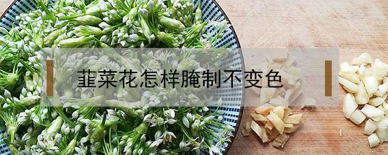 韮菜花怎样腌制不变色