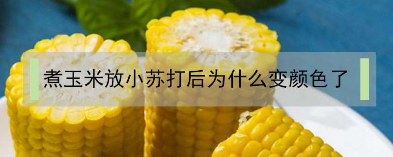 煮玉米放小苏打后为什么变颜色了