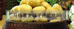 马铃薯发绿了还能吃吗