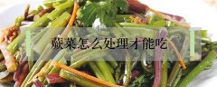蕨菜怎么处理才能吃